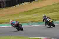 Advanced Group White Bikes